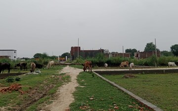 Plot For Sale in Jewar
