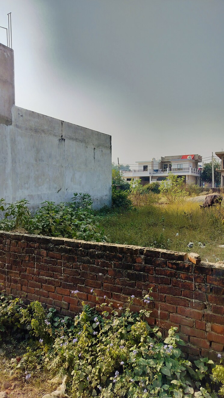 Exterior View, indira nagar  1250 Sq.Ft. Plot In Indira Nagar Lucknow 7986193