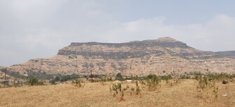 Plot For Resale in Igatpuri Nashik  7986271