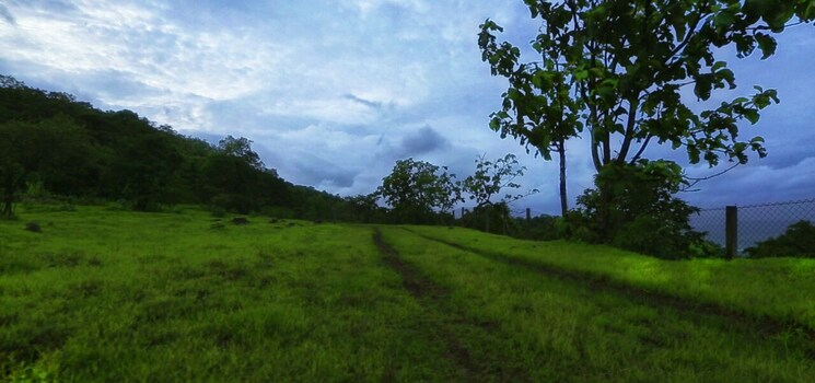 undefined, pirangut  3500 Sq.Ft. Plot In Pirangut Pune 7986944