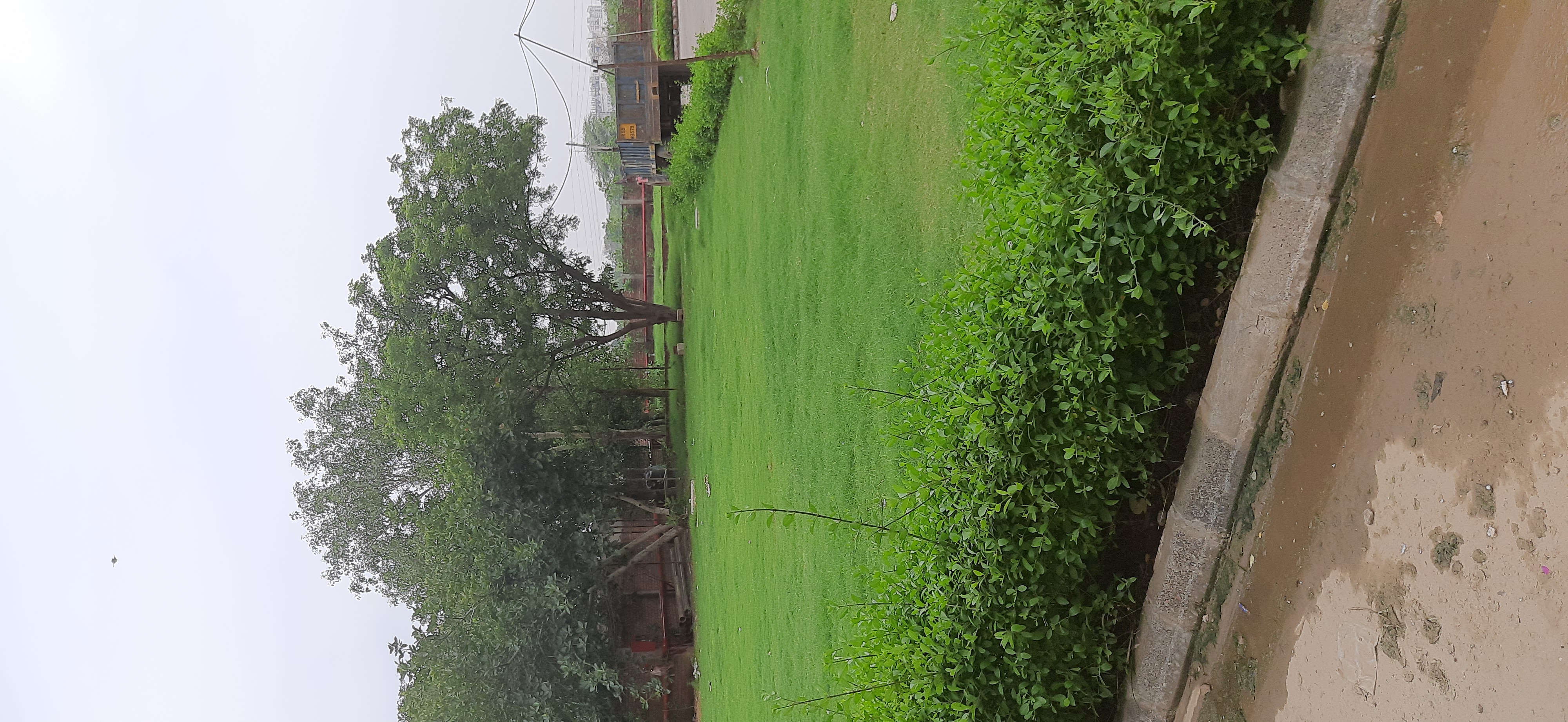 3 BHK Apartment For Sale in Pivotal Paradise