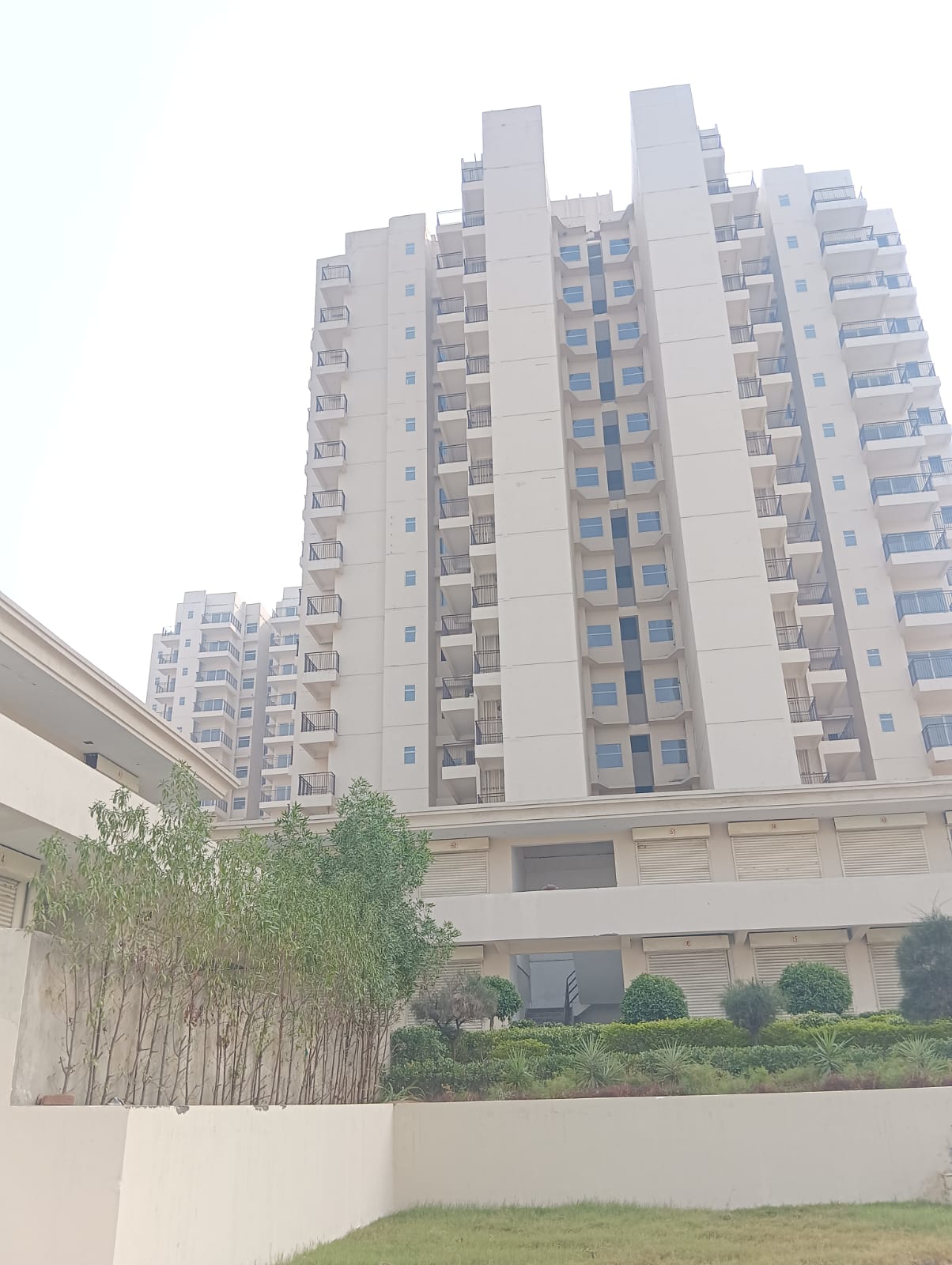 3 BHK Apartment For Sale in Pivotal Paradise