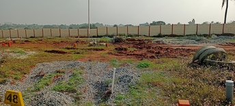 Plot For Resale in Chandapura Bangalore  7987758