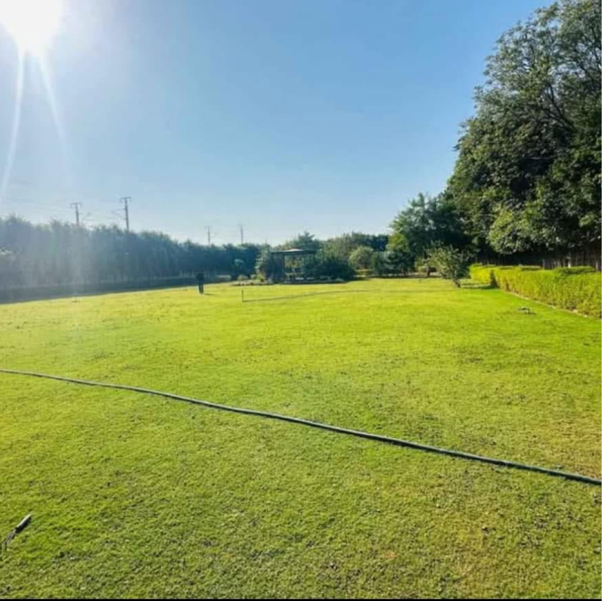 Land For Sale in Sultanpur