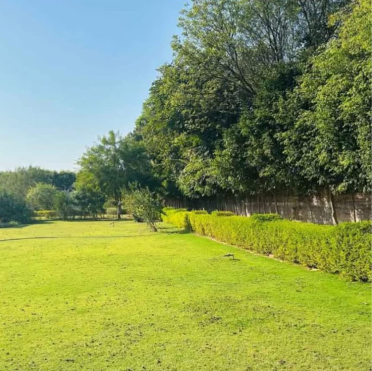 Exterior View, sultanpur Commercial Land 1210 Sq.Yd. In Sultanpur Gurgaon 7988462