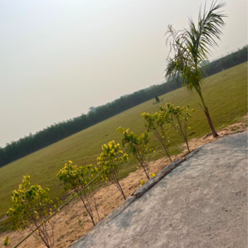  Land For Sale in Sultanpur