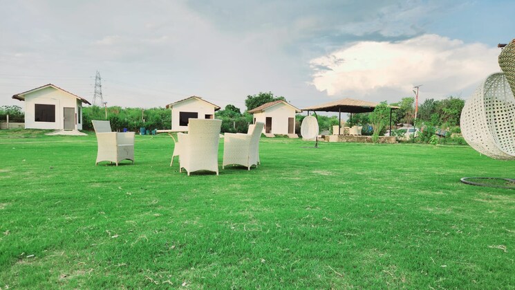 Garden, jewar  175 Sq.Yd. Plot In Jewar Greater Noida 7988772