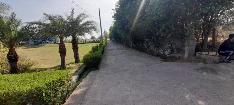 Exterior View, jewar  331 Sq.Yd. Plot In Jewar Greater Noida 7988921