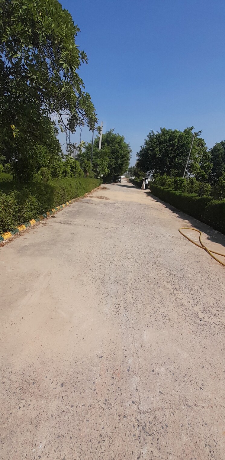 Exterior View, jewar  331 Sq.Yd. Plot In Jewar Greater Noida 7988921