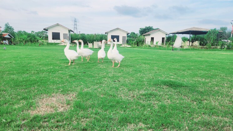 Exterior View, jewar  198 Sq.Yd. Plot In Jewar Greater Noida 7989074