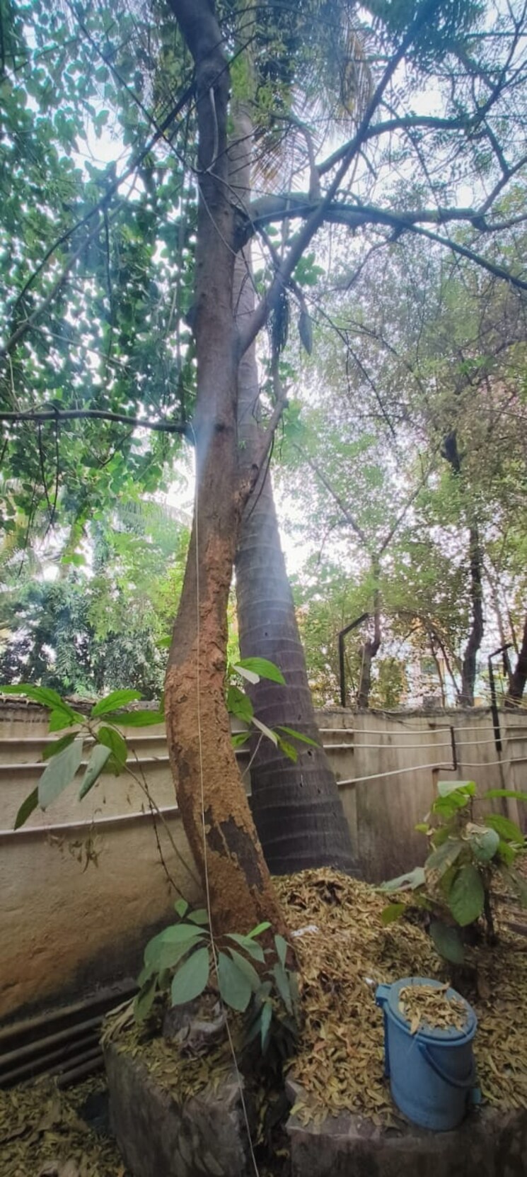 Balcony, brahmand-phase-8 3 Bedroom 1200 Sq.Ft. Independent House In Brahmand Thane 7989428