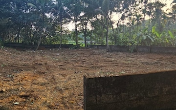 Plot For Sale in Chottanikkara