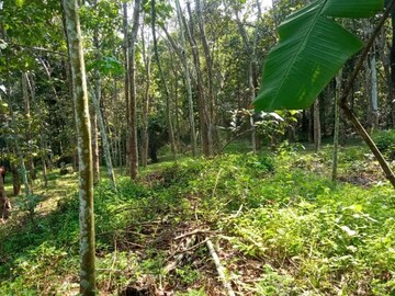  Plot – Garden View at Perumbavoor - for Sale