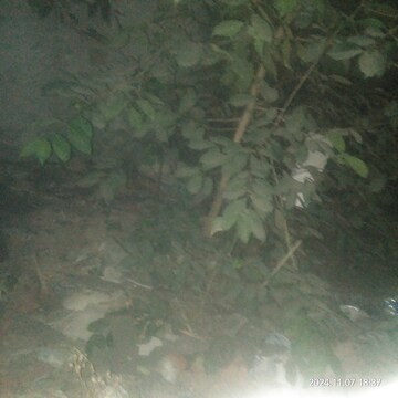  Plot For Sale in Pakhowal Road