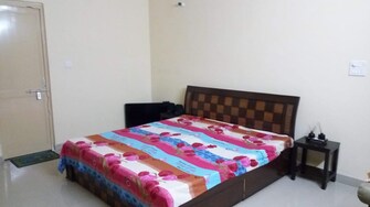 3 BHK Apartment For Rent in Paras Tierea Sector 137 Noida  7990220