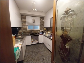 3 BHK Builder Floor For Rent in Jungpura Extension Delhi  7990247