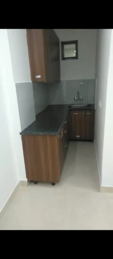 Terrace in 1 BHK Builder Floor at Mehrauli – for Rent