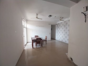 1 BHK Apartment For Rent in Gaur City 2 - 14th Avenue Noida Ext Sector 16c Greater Noida  7990916