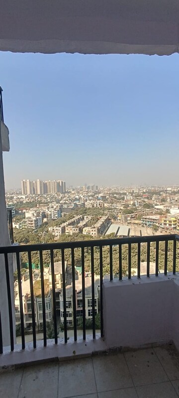 3 BHK Apartment For Rent in Amrapali Platinum, Sector 119