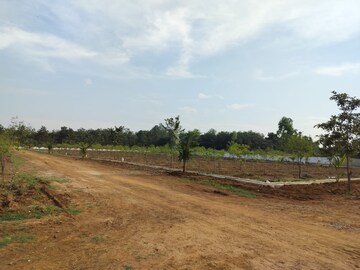  Plot For Sale in Vizianagaram Cantonment