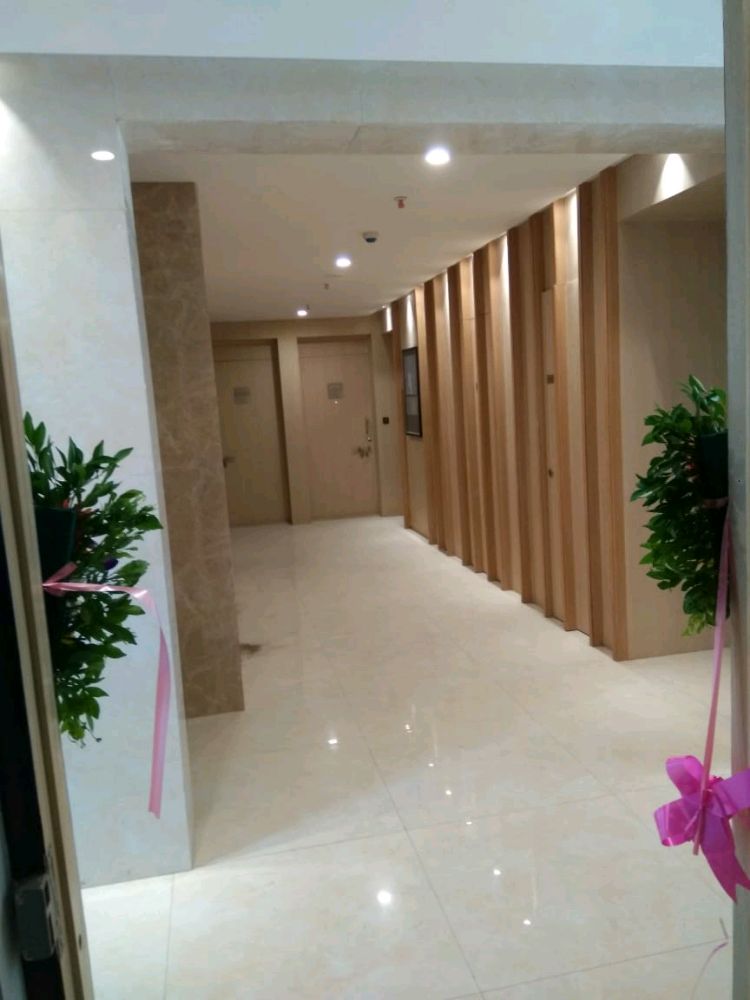 1 BHK + Pooja Room 480 Sq.Ft. Apartment in Lodha Palava City