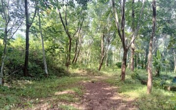 Plot For Sale in Kolathur
