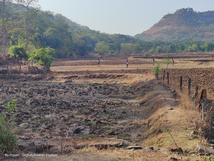 undefined, palaspa  1089 Sq.Ft. Plot In Palaspa Navi Mumbai 7991787