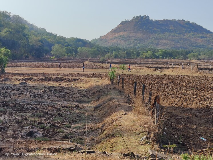 undefined, palaspa  1089 Sq.Ft. Plot In Palaspa Navi Mumbai 7991787