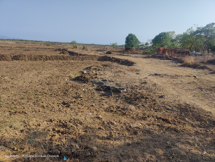 undefined, palaspa  1089 Sq.Ft. Plot In Palaspa Navi Mumbai 7991787