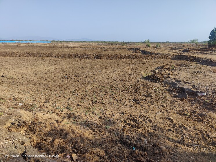 undefined, palaspa  1089 Sq.Ft. Plot In Palaspa Navi Mumbai 7991787