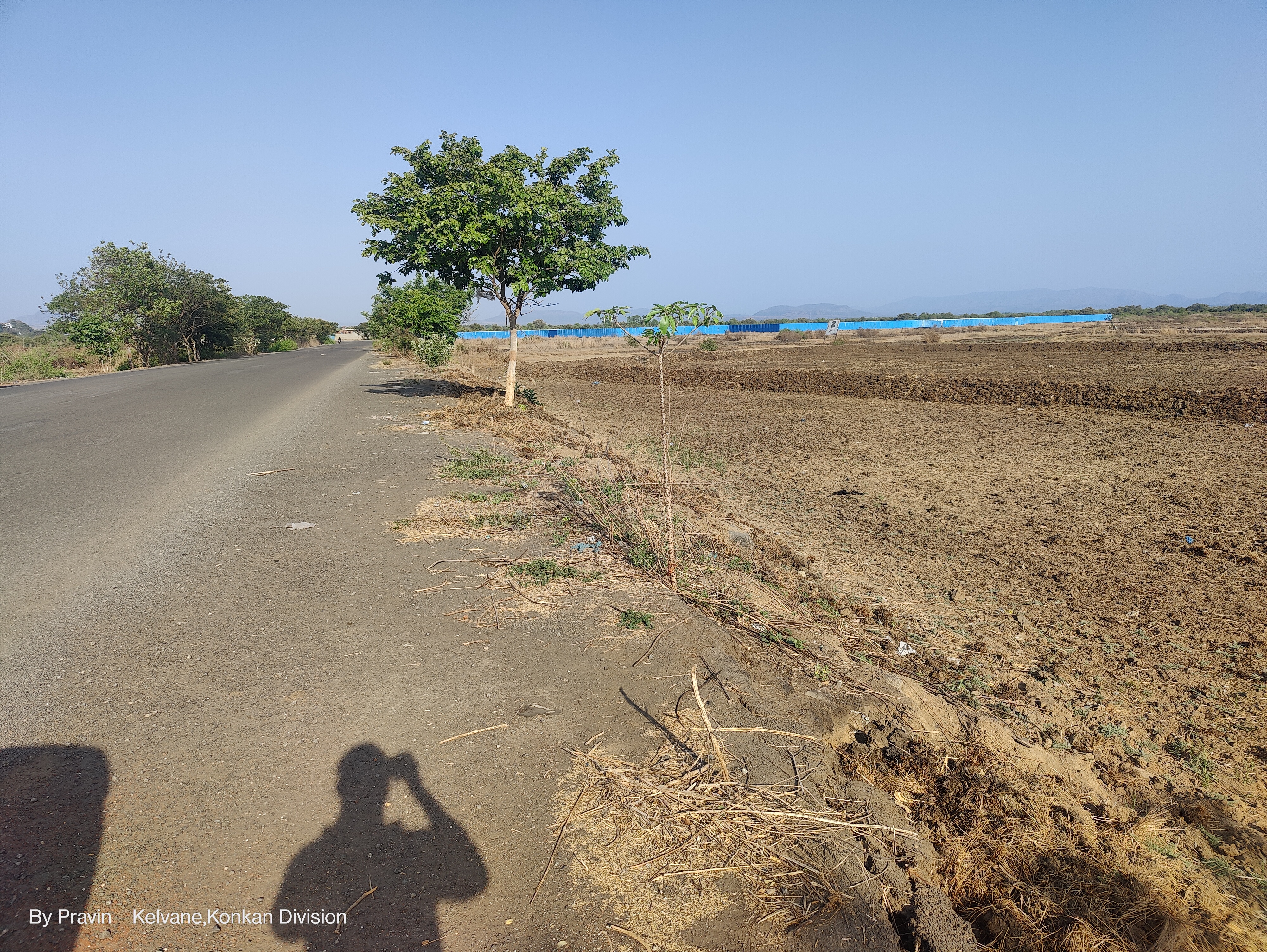 Plot For Sale in Palaspa