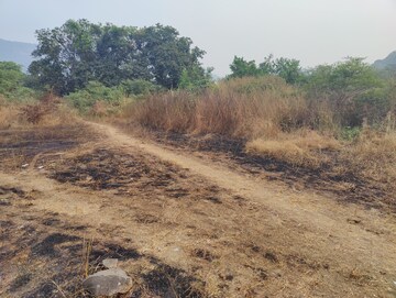  Plot For Sale in Palaspe Phata