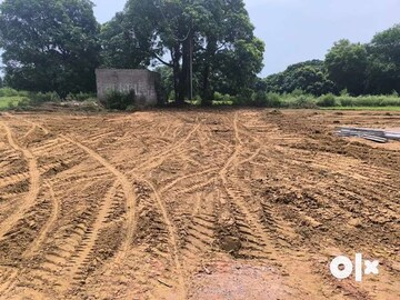 Plot Area in  Plot at Sector 137 – for Sale