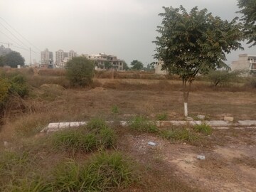 Plot Area in  Plot at Altus Prime, North Mullanpur – for Sale