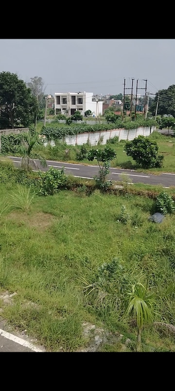 Plot Area in  Plot at Panchli Khurd – for Sale