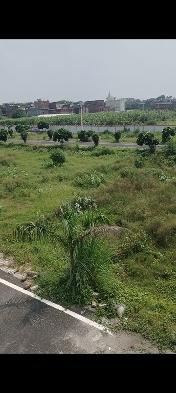 Plot Area in  Plot at Panchli Khurd – for Sale