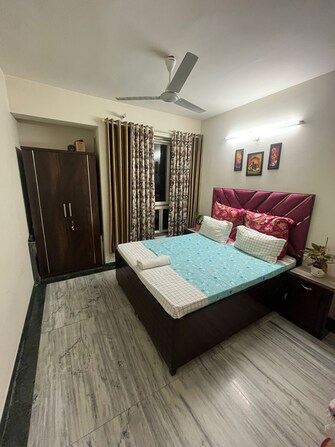 2 BHK Apartment For Rent in Hiranandani Estate Jasper Ghodbunder Road Thane  7992203