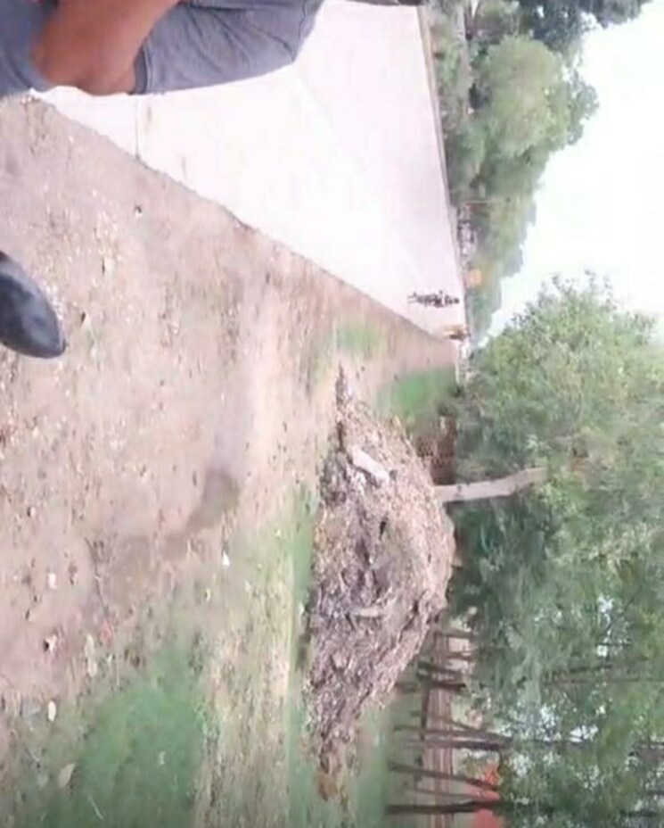 Garden, transport nagar Commercial Land 29923 Sq.Ft. In Transport Nagar Lucknow 7992247