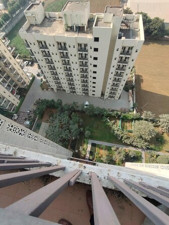 3 BHK Apartment For Rent in Emaar Palm Hills Sector 77 Gurgaon  7992297