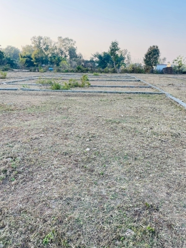 Plot For Sale in Palampur