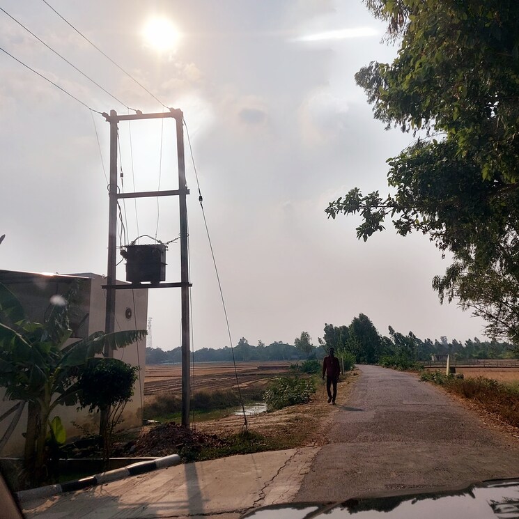 Exterior View, raebareli road  2000 Sq.Ft. Plot In Raebareli Road Lucknow 7992822