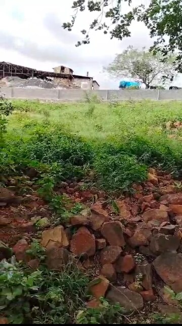 Plot For Resale in Trimbak Road Nashik  7992867