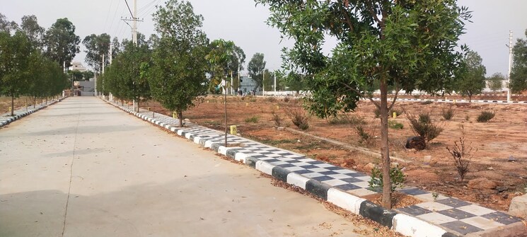 undefined, dsr-status-symbol  166 Sq.Yd. Plot In Shadnagar Hyderabad 7992926