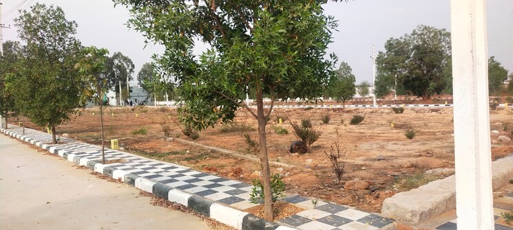 Exterior View, dsr-status-symbol  166 Sq.Yd. Plot In Shadnagar Hyderabad 7992926