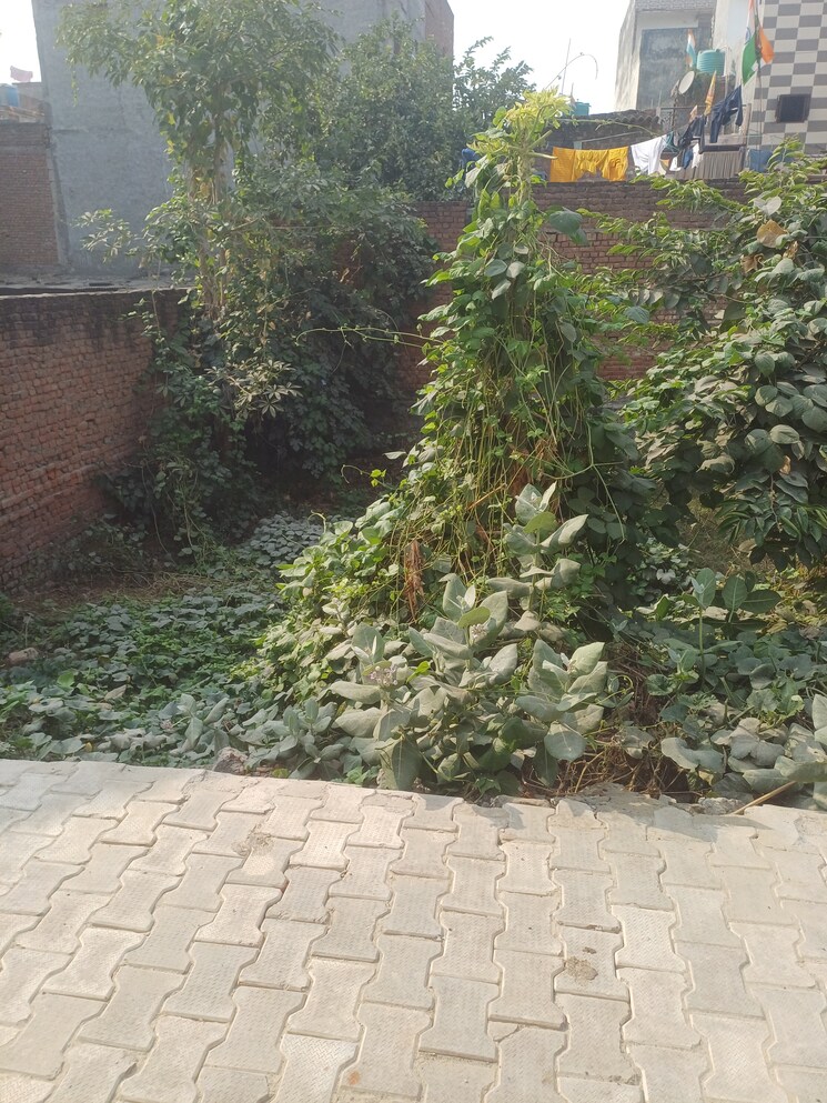 Exterior View, palla  52 Sq.Yd. Plot In Palla Faridabad 7992996