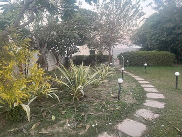 Plot Area in  Plot at Jewar – for Sale