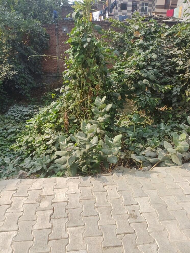 Exterior View, palla  55 Sq.Yd. Plot In Palla Faridabad 7993074