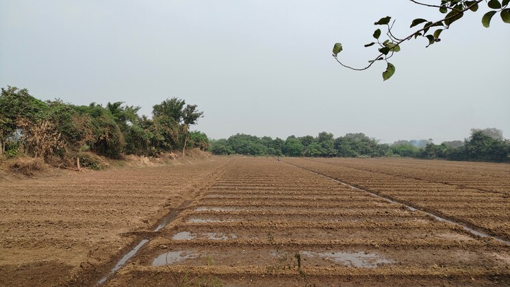 undefined, palsana Commercial Land 22500 Sq.Ft. In Palsana Surat 7993258