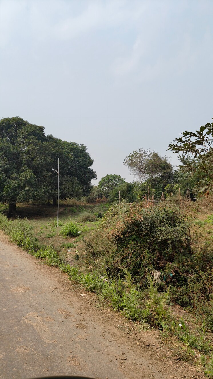 undefined, palsana Commercial Land 22500 Sq.Ft. In Palsana Surat 7993258