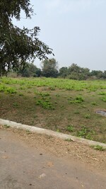 22500 Sq.Ft. Land in Malekpor,palsana